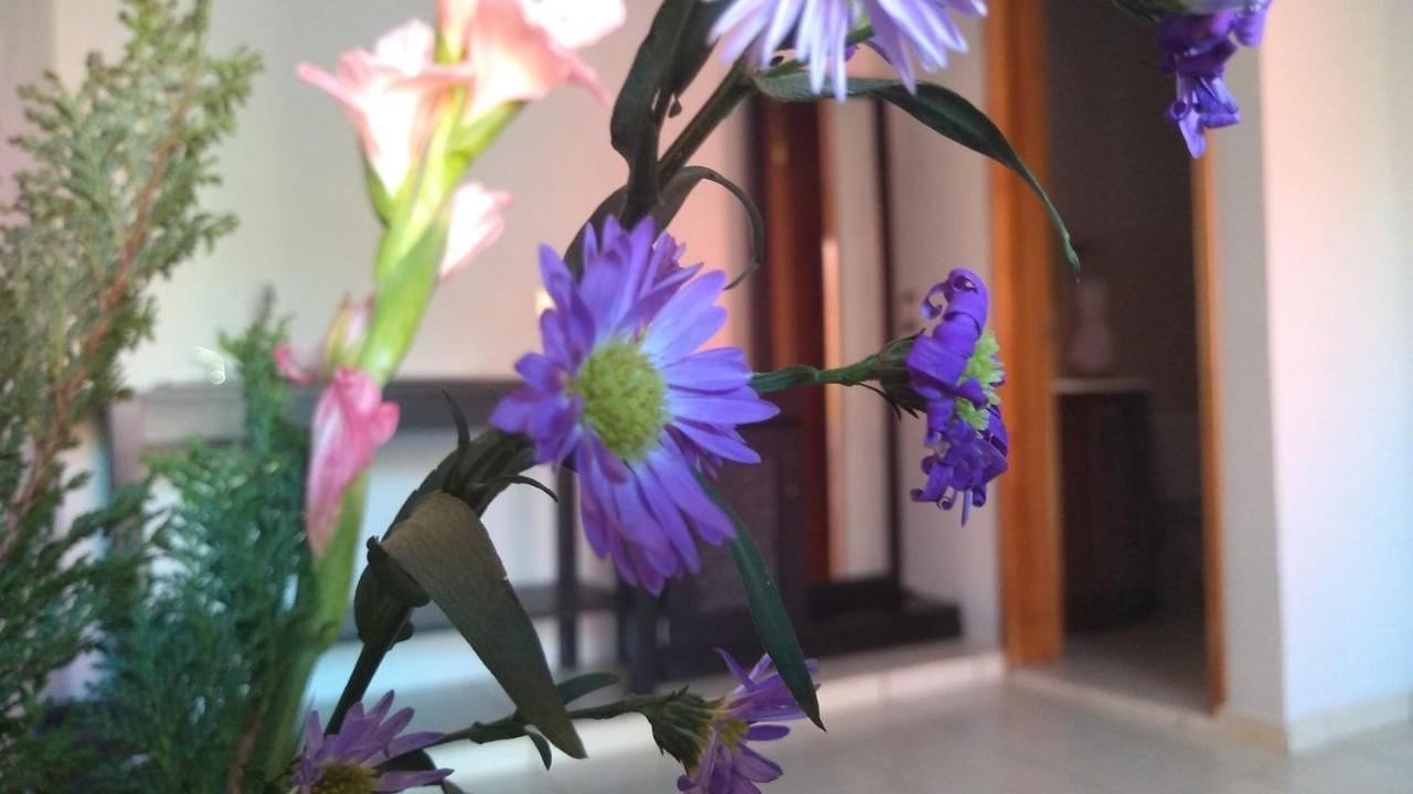 ואיאדוליד Hotel Kinich Ahau מראה חיצוני תמונה